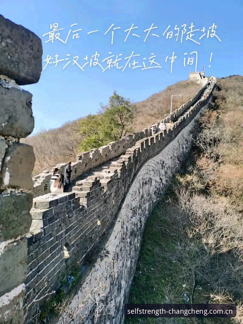 长城体育竞猜功能 长城体育竞猜功能如何让2024年赛事体验更上一层楼?