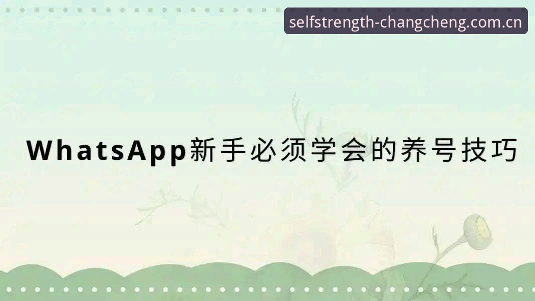 长城体育App功能手机版 新手必备!长城体育App功能手机版使用心得与实战经验分享